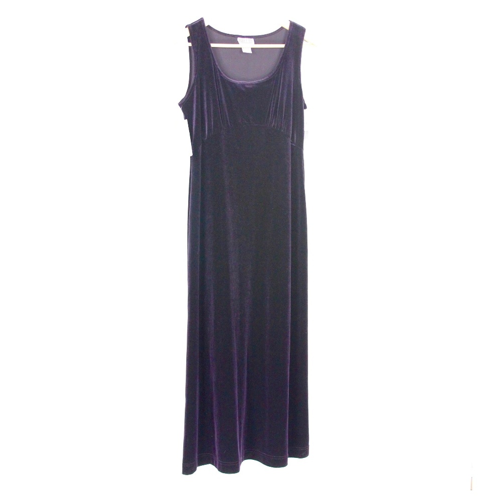 NWT Velvet Petite Dress